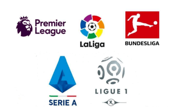 年轻球员们 年轻球员们